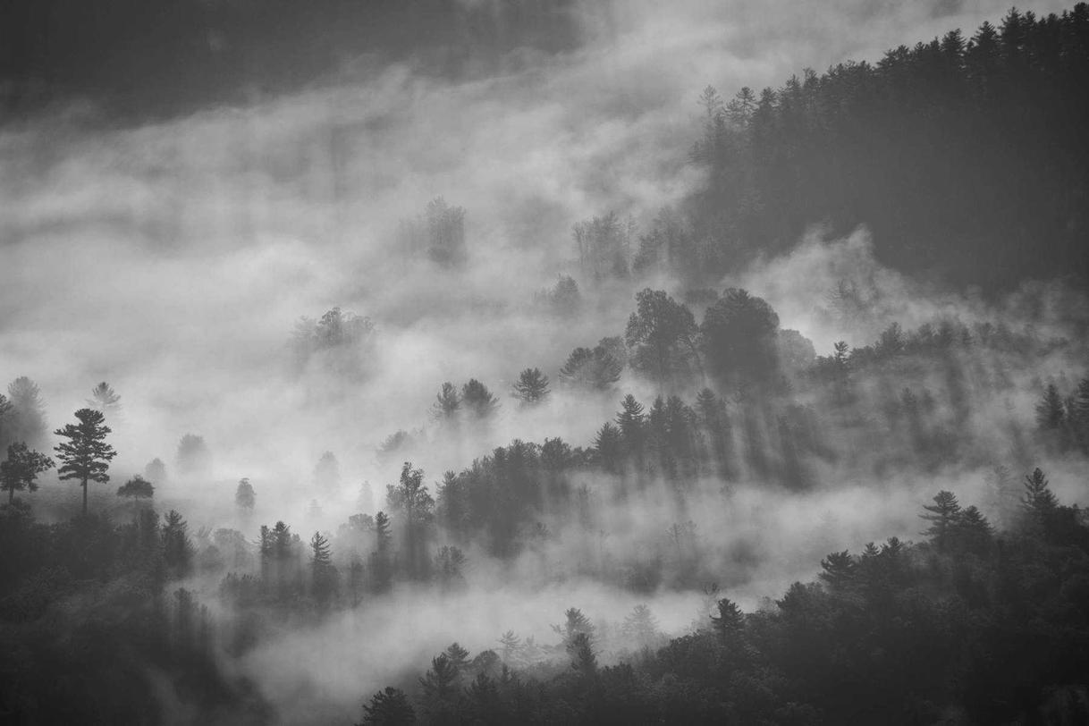 Accusantium dolor doloremque et minus culpa voluptate qui