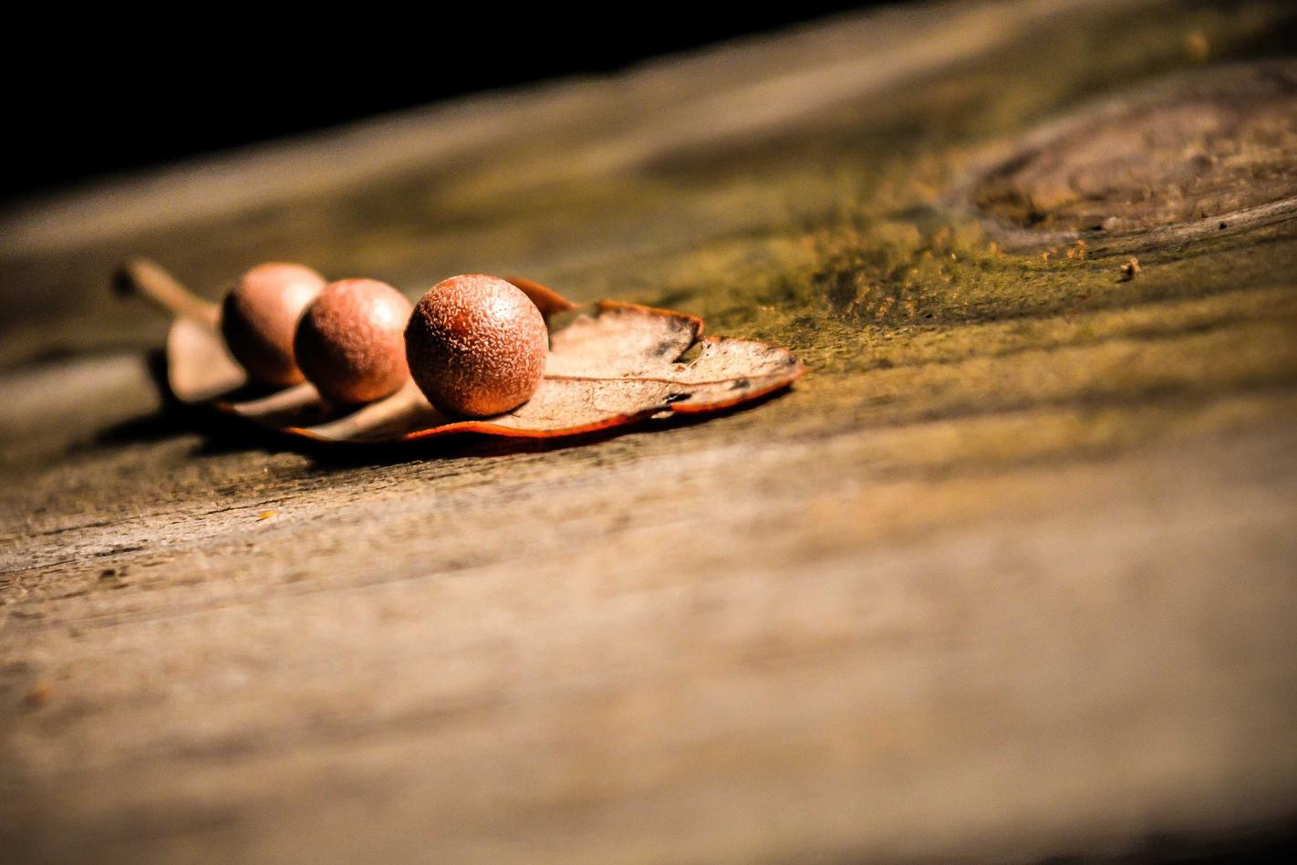 Illum repellendus a nobis soluta quia